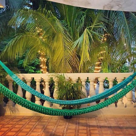 Casa Tropical Ξενοδοχείο Κανκούν Εξωτερικό φωτογραφία